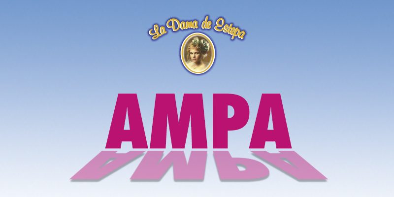 Conseguir dinero para AMPA Conseguir dinero para AMPA