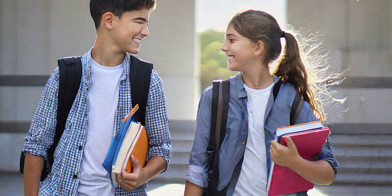 vender mantecados en colegios vender mantecados en colegios