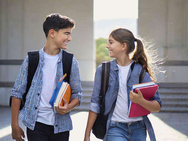 vender mantecados en colegios vender mantecados en colegios